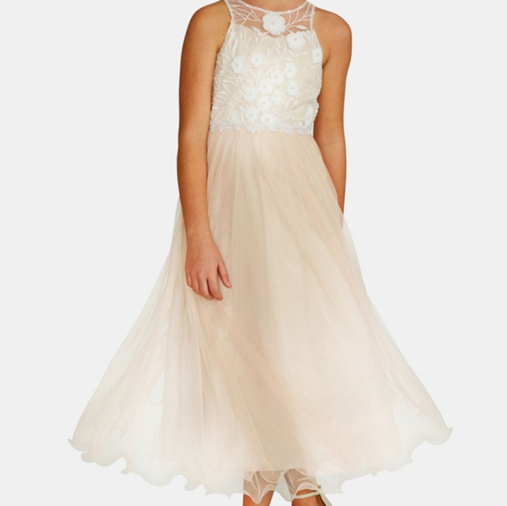 Big Girls Embroidered Mesh Gown, Taupe - Picture 1 of 9